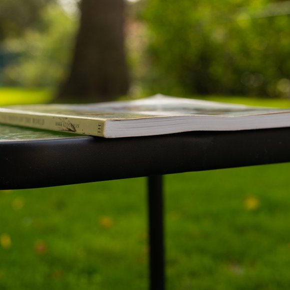 Book: Dog Breeds of the World - Picture 8 of 8